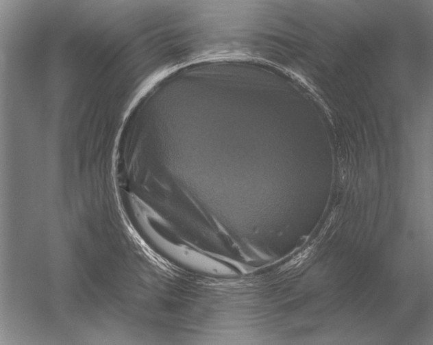 X0000051241422200507082112