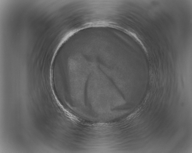 X0000051241424200507082112