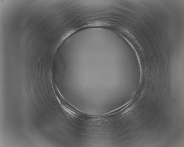 X0000051241425200507082112