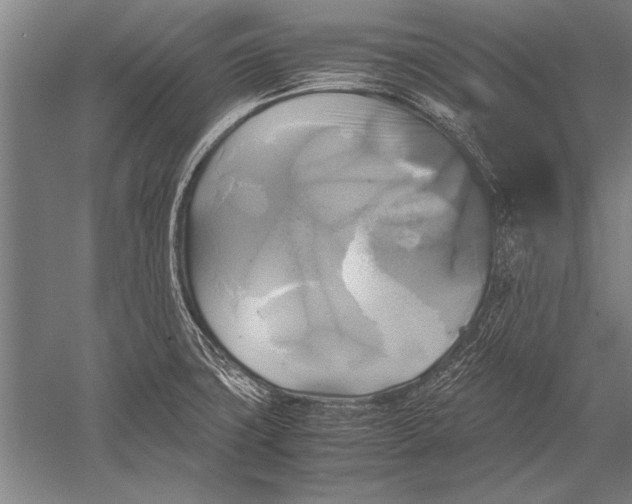 X0000051241427200507082112