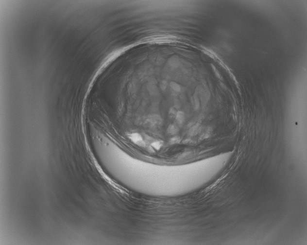 X0000051241429200507082112