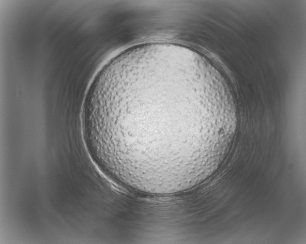 X0000051241432200507082112