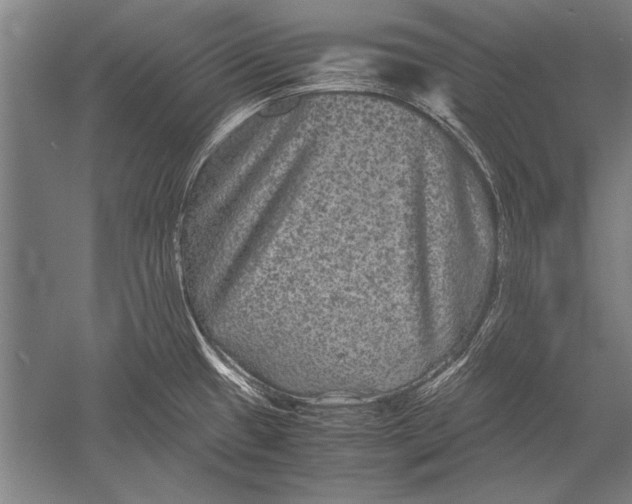 X0000051241433200507082112