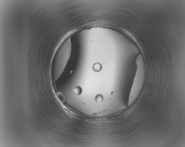 X0000051241434200507082112