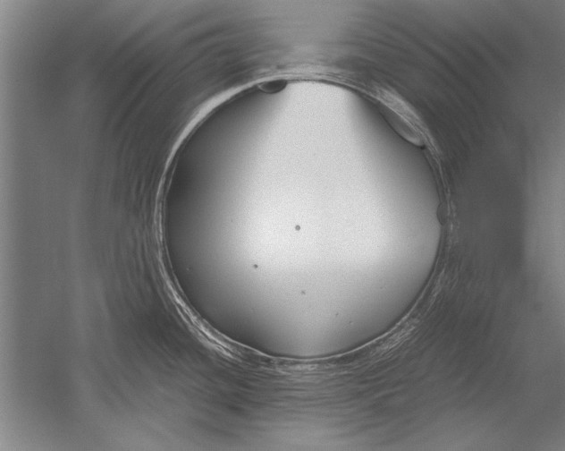 X0000051241436200507082112