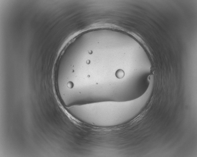 X0000051241438200507082112