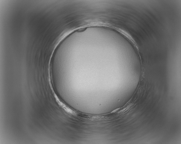 X0000051241439200507082112