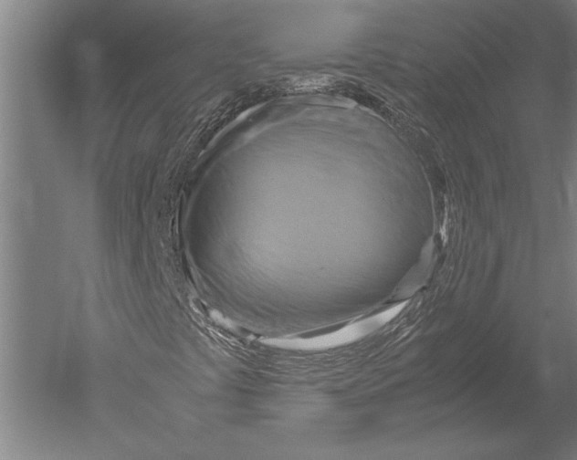 X0000051241441200507082112