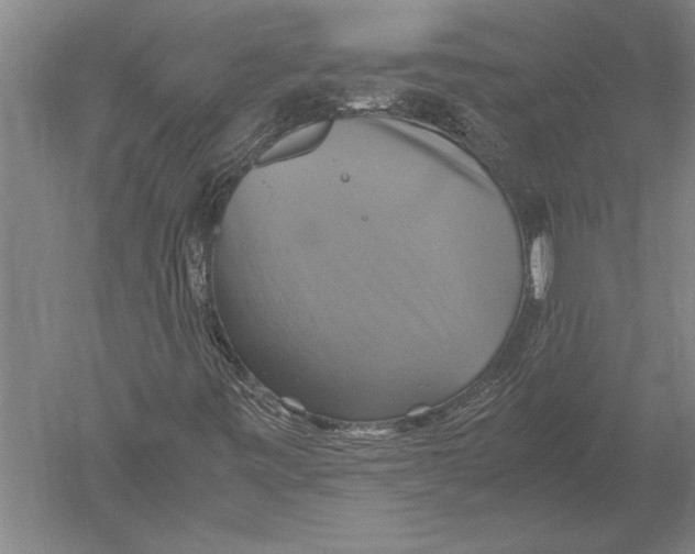 X0000051241443200507082112