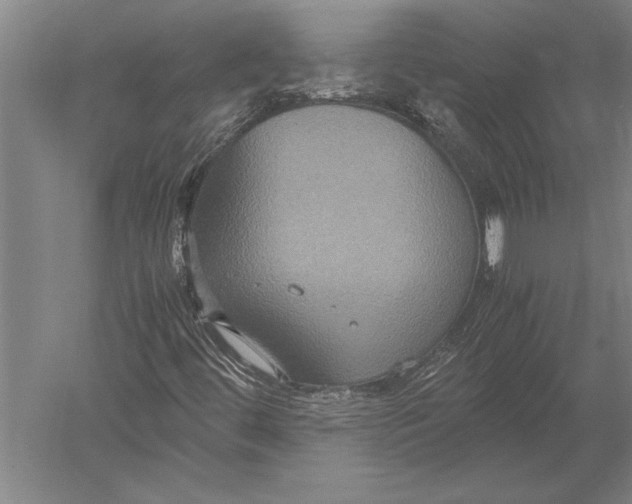 X0000051241444200507082112