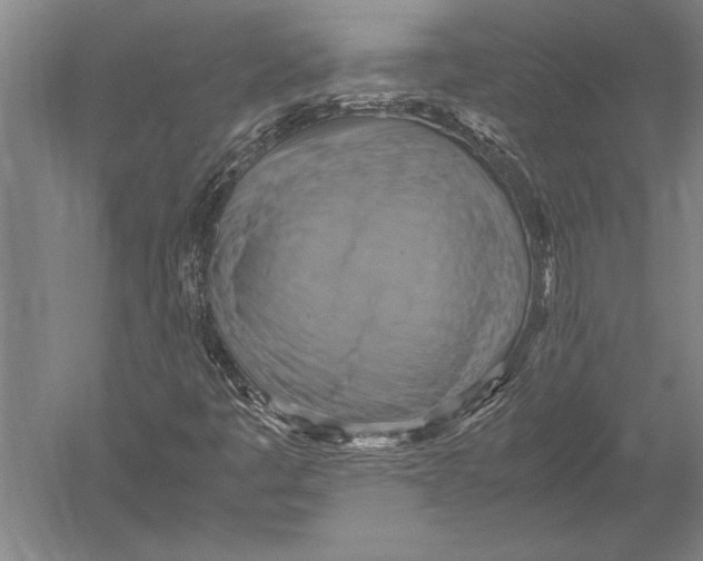 X0000051241445200507082112