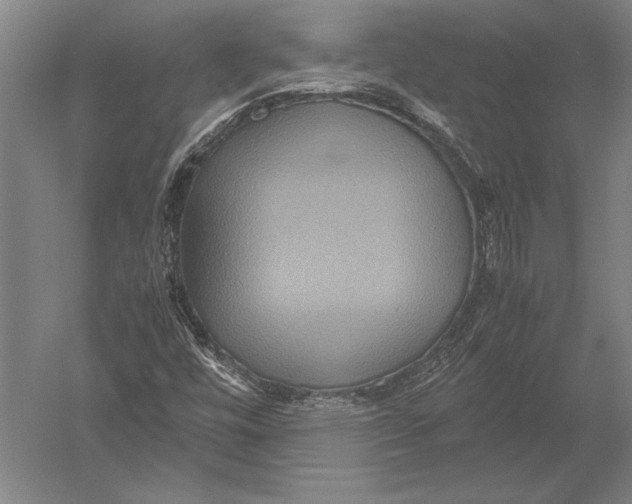 X0000051241448200507082111