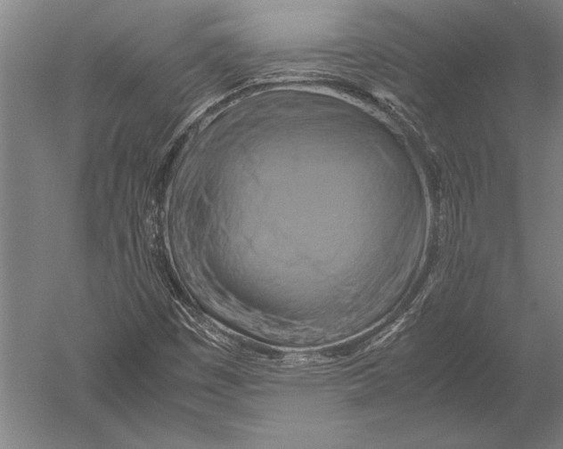 X0000051241449200507082111