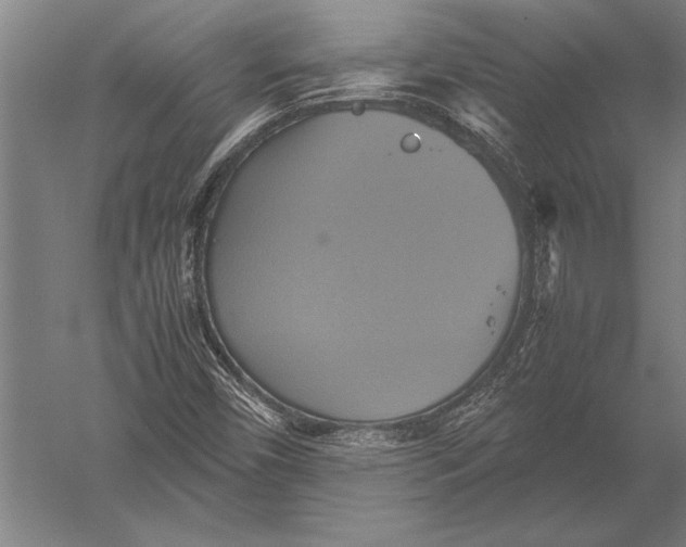 X0000051241450200507082111