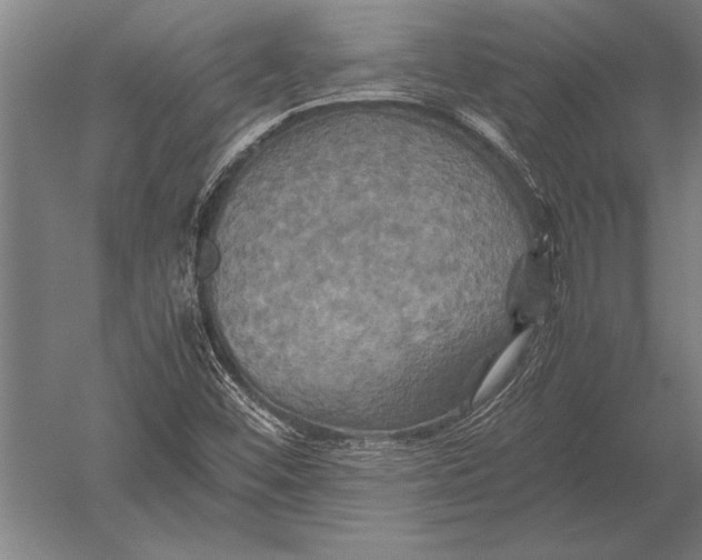 X0000051241452200507082111