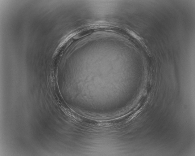 X0000051241453200507082111