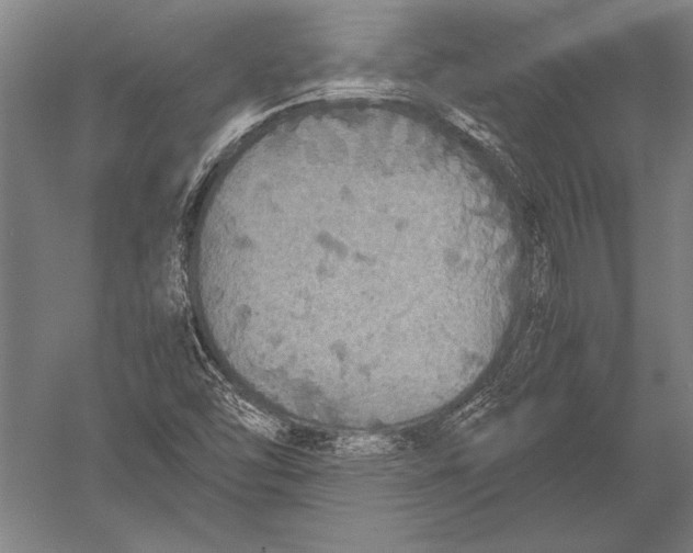 X0000051241454200507082111