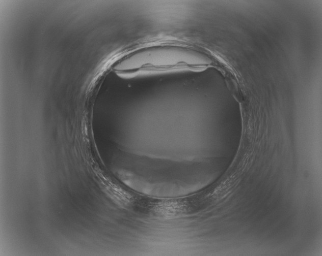 X0000051241455200507082111