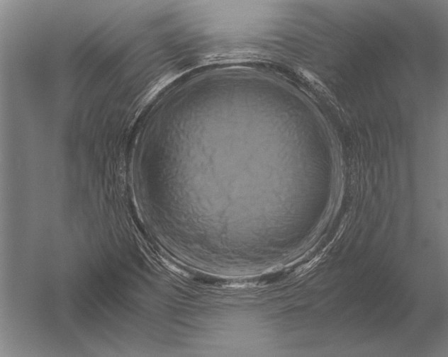 X0000051241457200507082111