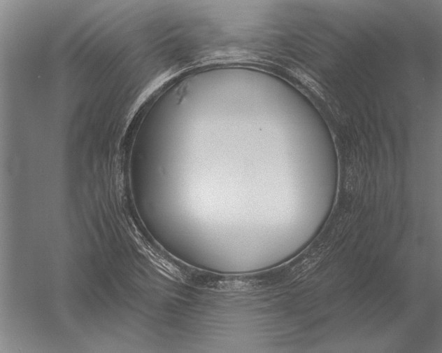 X0000051241458200507082111