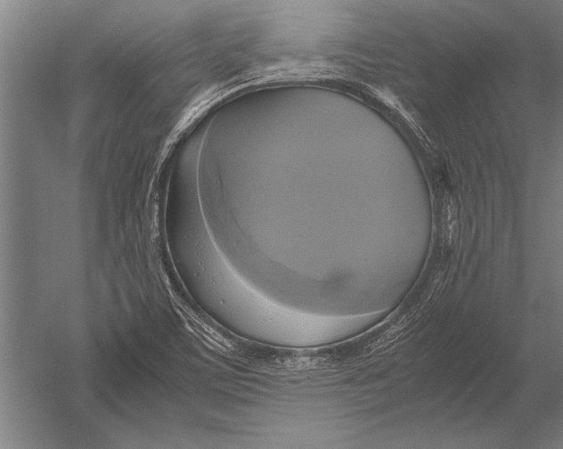 X0000051241459200507082111