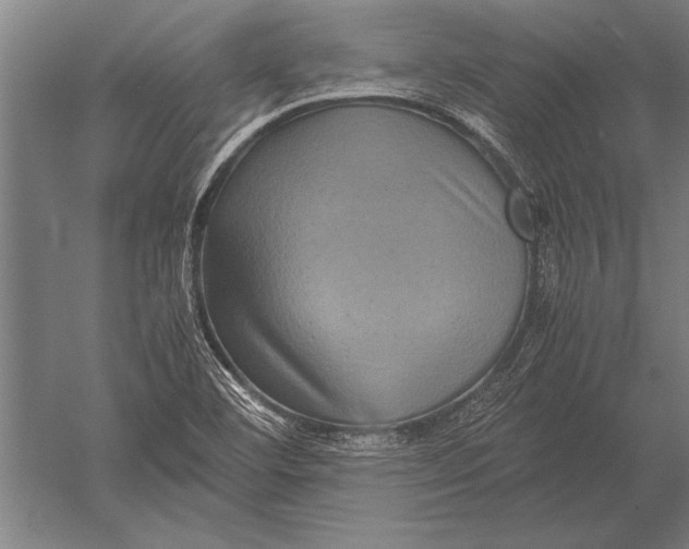 X0000051241460200507082111