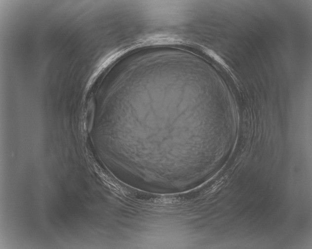 X0000051241461200507082111