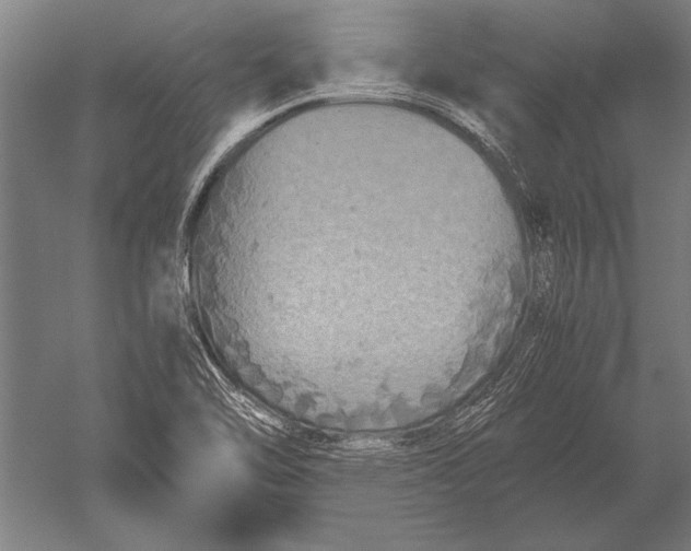 X0000051241462200507082111