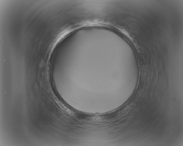 X0000051241463200507082111