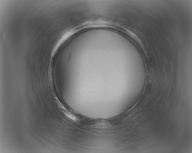 X0000051241464200507082111