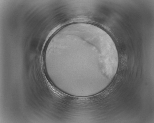 X0000051241466200507082111