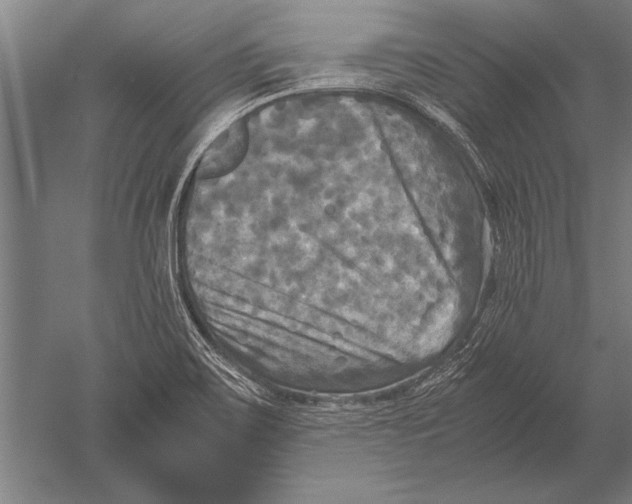 X0000051241467200507082111