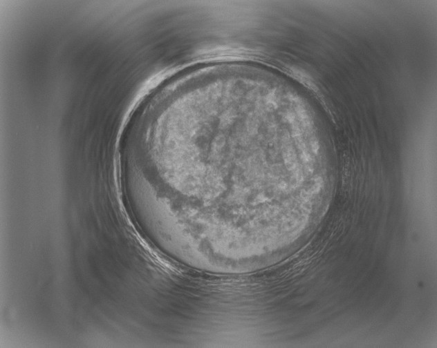 X0000051241472200507082111