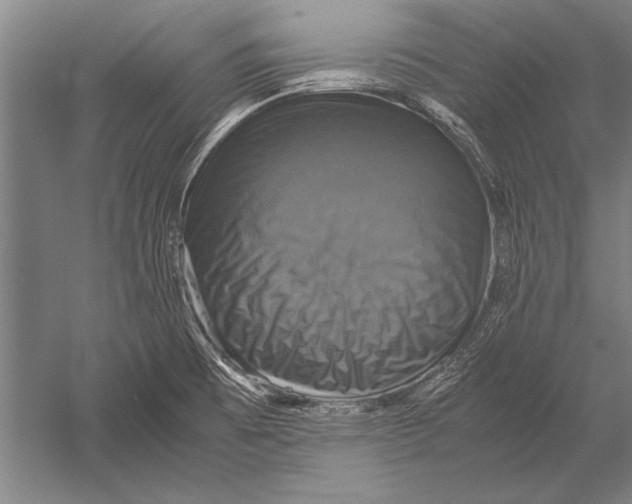 X0000051241473200507082111