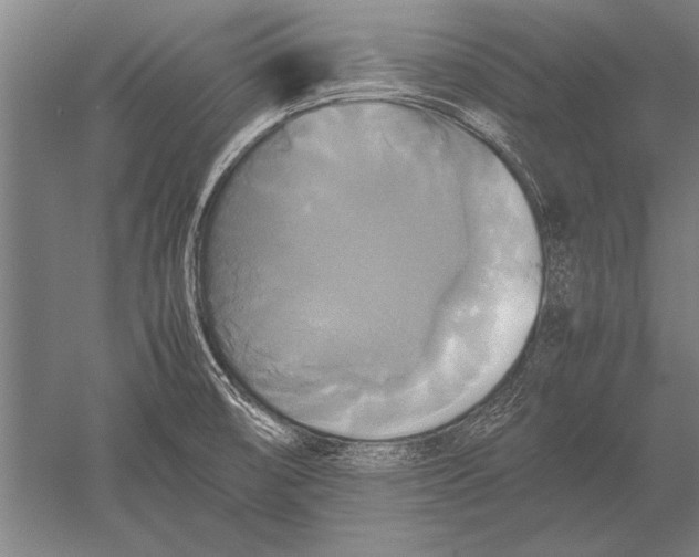 X0000051241474200507082111