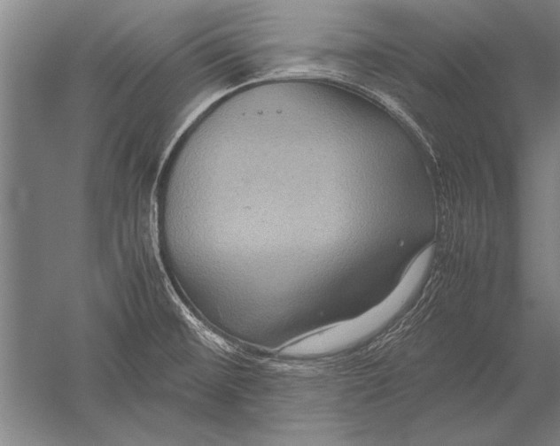 X0000051241476200507082111