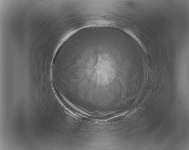 X0000051241477200507082111