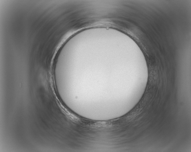 X0000051241478200507082111