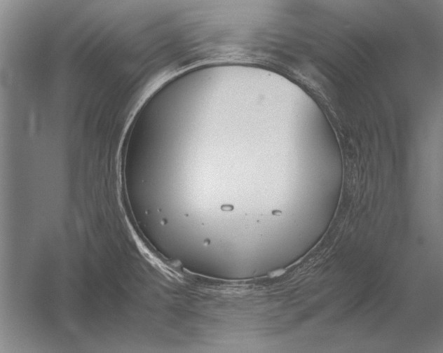 X0000051241479200507082111