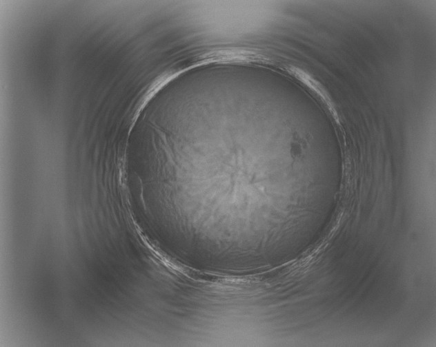 X0000051241481200507082111