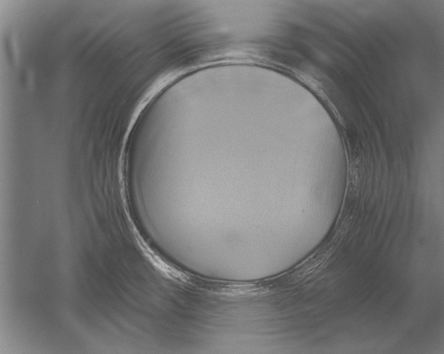 X0000051241482200507082111