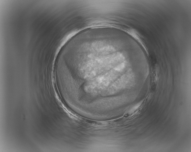 X0000051241485200507082111