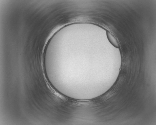 X0000051241486200507082111