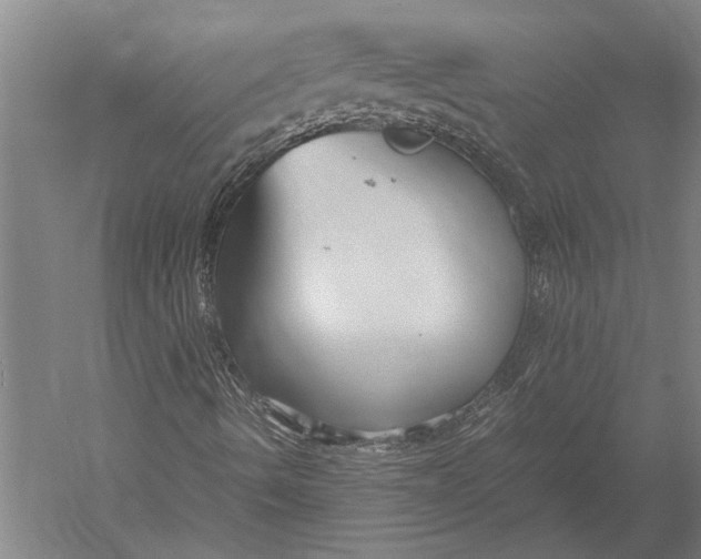 X0000051241490200507082110