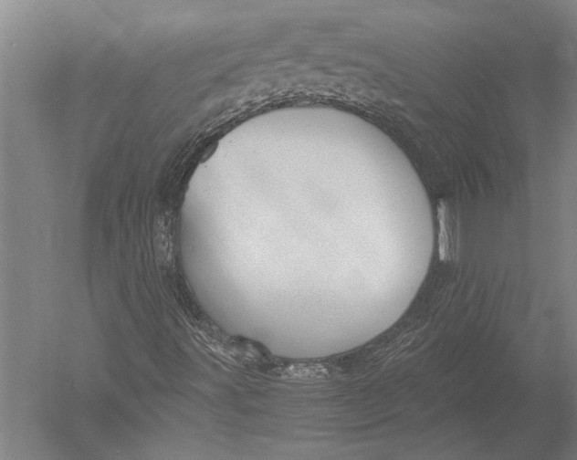 X0000051241491200507082110