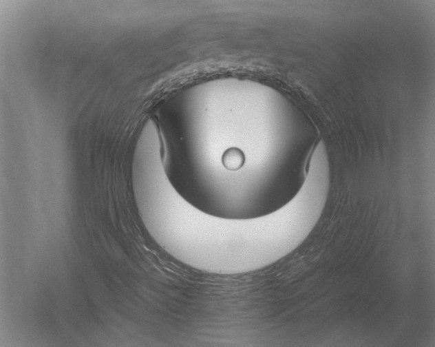 X0000051241492200507082110