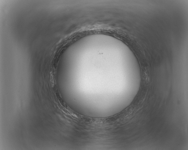 X0000051241493200507082110