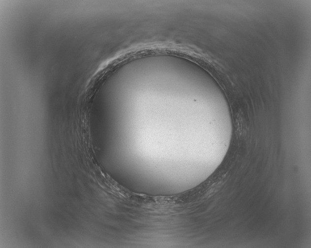 X0000051241494200507082110