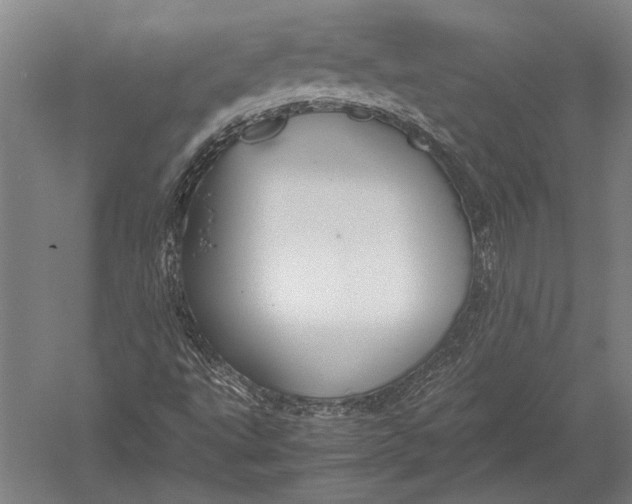 X0000051241495200507082110