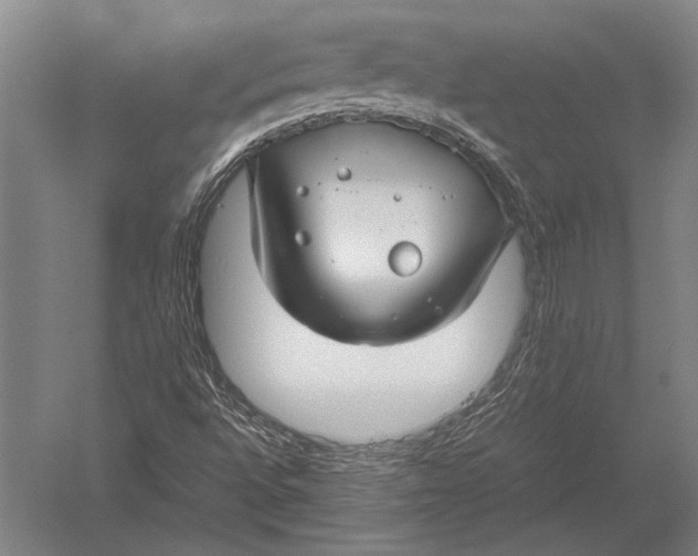 X0000051241496200507082110